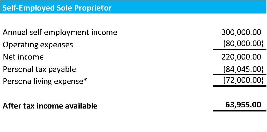 Example of Self-Employed Sole Proprietor Tax Savings