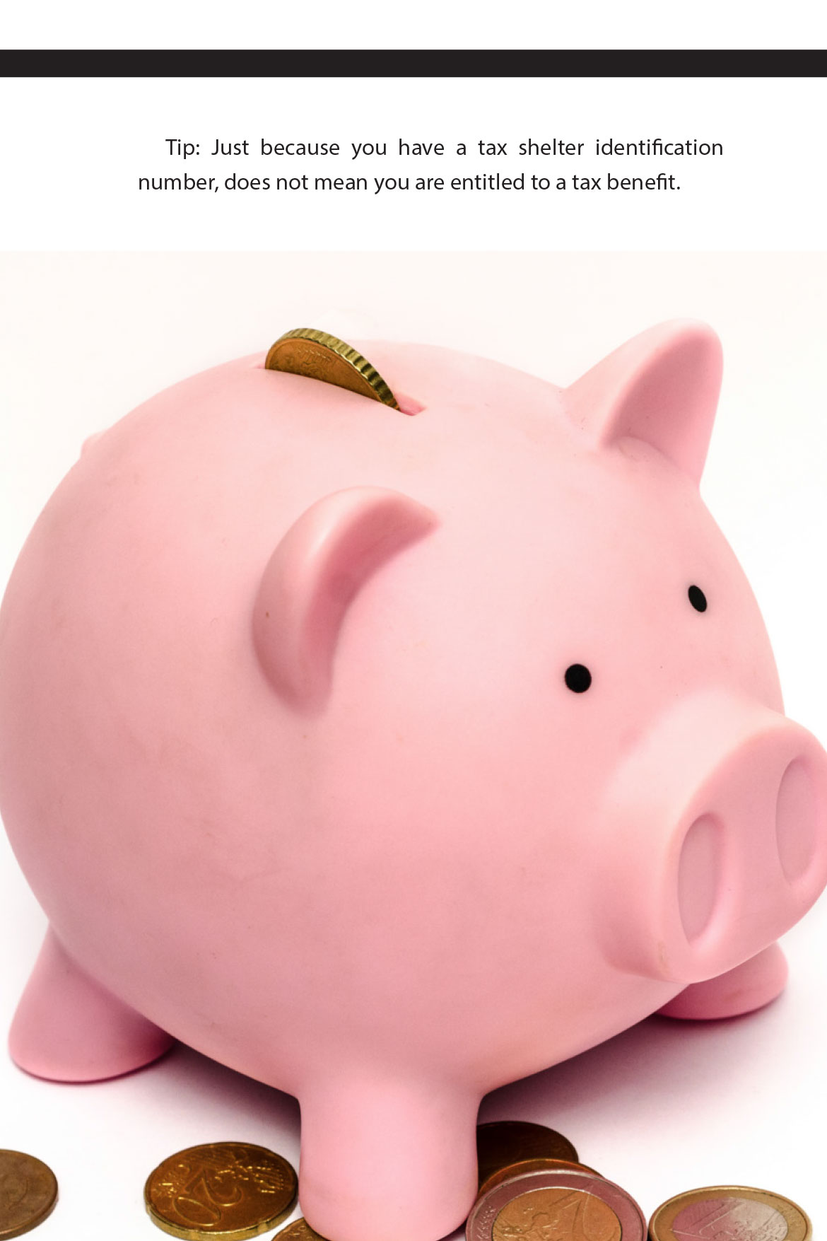 Tax shelters, tax tips for Canadians